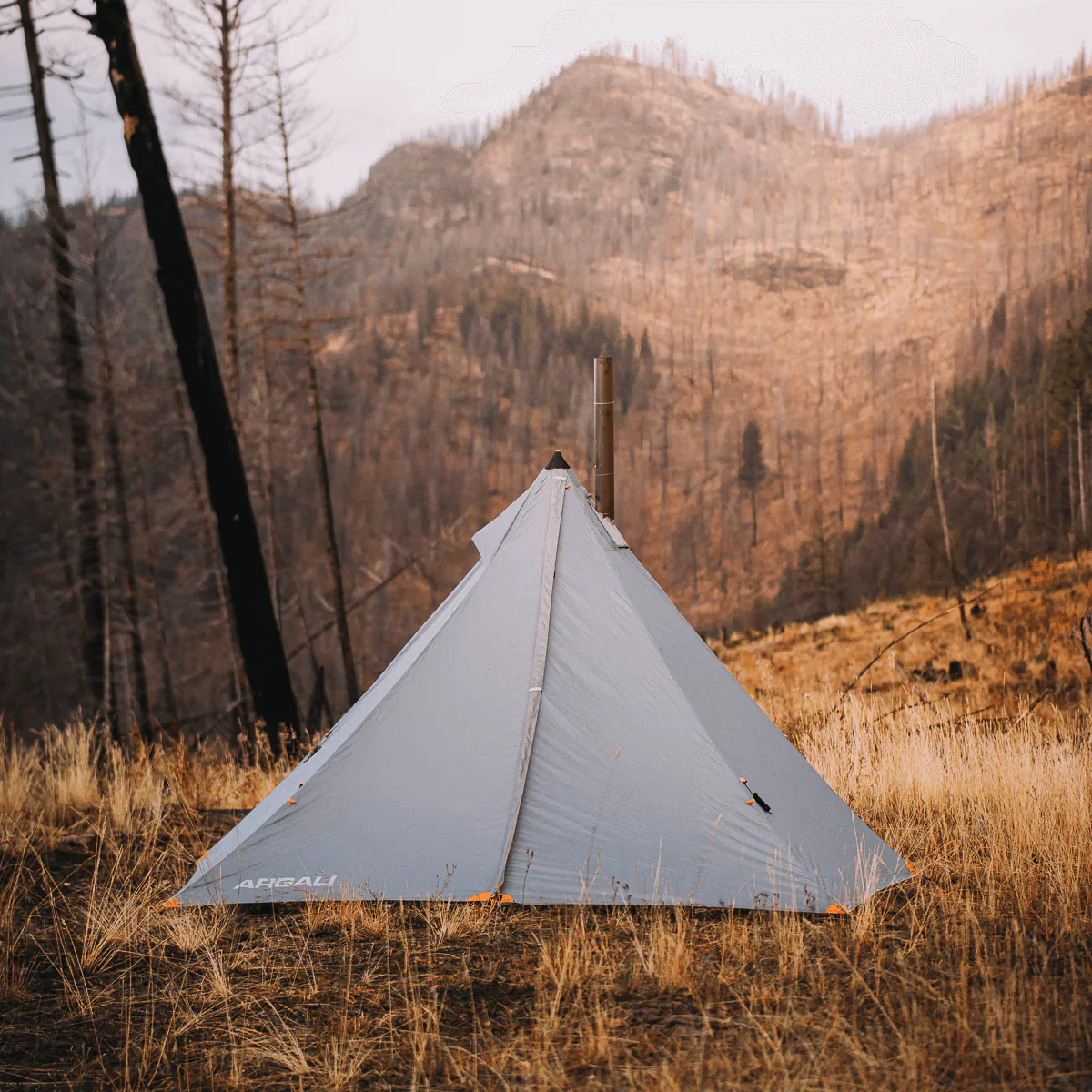 Argali Absaroka 4p Tent - Image 5