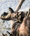 First Lite Grizzly 2.0 Trigger Mitt - Image 4